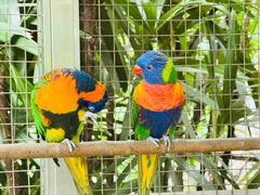 -大连森林动物园