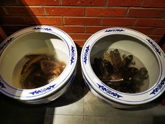 -鸽子窝(宋庄店)
