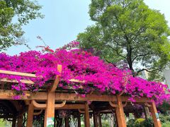 -成都动物园