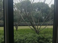 -常州环球恐龙城维景国际大酒店