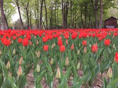 -长春公园(普阳街道)