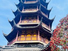 -红梅公园