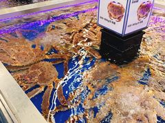 -盒马X会员店(上海森兰商都店)