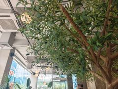 -Wagas沃歌斯(环贸店)