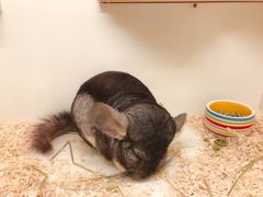 -龙猫仔乐园(惠福东路店)