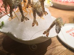 -尚海豆捞(乐虹坊店)