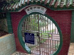 -广东惠东海龟国家级自然保护区