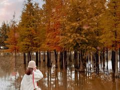 -白鹭湾湿地公园