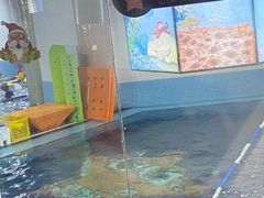 -蓝旗游泳·青训·亲子水域中心(方庄中心)