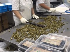 -采芝斋评弹茶馆(观前街店)