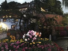 -大冰的小屋