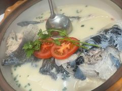 -全乐鱼馆·淳牌有机鱼直营店