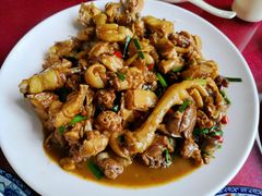 -生态苑农庄(十里画廊遇龙河店)