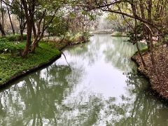 -西溪国家湿地公园