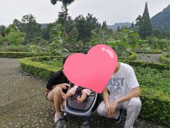 -青城山六善酒店·紫氣園中餐厅