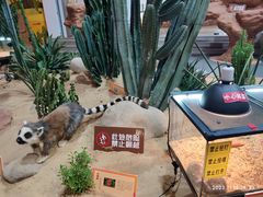 -松江科技馆