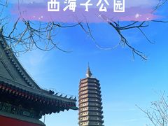 -西海子公园