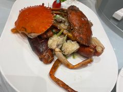 -沪碟·精菜坊(闵行店)