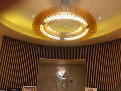 -苏州金鸡湖文博诺富特酒店