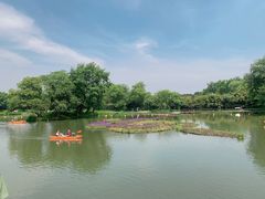 -西溪国家湿地公园