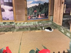 -观澜山水田园