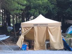 -重庆睡佛山森林公园