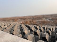 -奉贤海滩