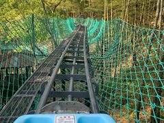 -藏龙百瀑风景区