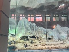 -帝企鹅自助餐厅•儿童岛•真企鹅(长隆企鹅酒店)