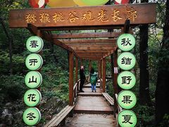 -大岭沟猕猴桃谷风景区