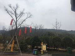 -无锡动物园·太湖欢乐园