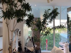 -悦SALON