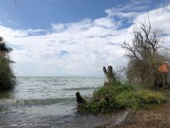 -捞渔河湿地公园