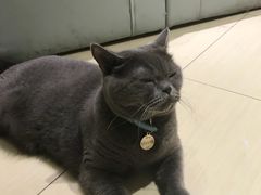 -小时光咖啡馆(开森度假森林店)