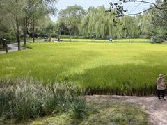 -北坞公园