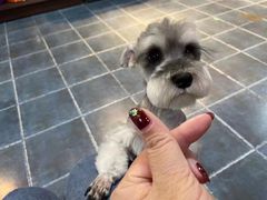 辣炒蛏子-鼎原力量东北吊炉烧烤(临河街店)