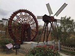 -东台西溪天仙缘景区