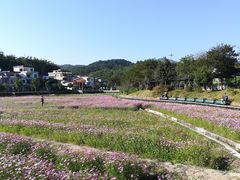 -红山村