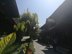 -西双版纳傣族园