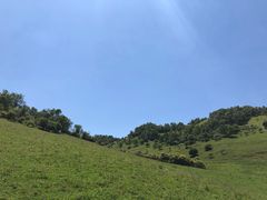 -关山草原