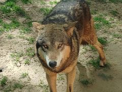 -北京野生动物园