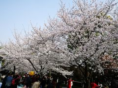 -堤角公园