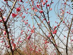 -胜记凯心茶餐厅(汇金财富广场店)