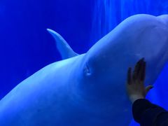 -多彩贵州城极地海洋世界