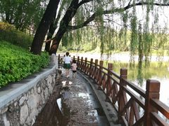 -迎泽公园