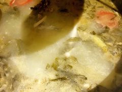 -重庆乌鱼庄·龙滋鲜(青羊大道店)