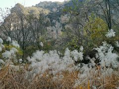 -青龙山生态文化旅游区(慈云寺)