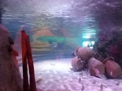 -沈阳海洋探索中心