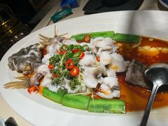 鲜花椒蒸笋壳鱼-侨美食家·粤菜(体育西路店)