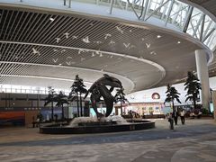 -青岛胶东国际机场